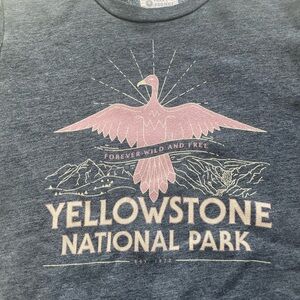 🦅 Parks Project Yellowstone National Park Gray Sweater Size Large 🌲